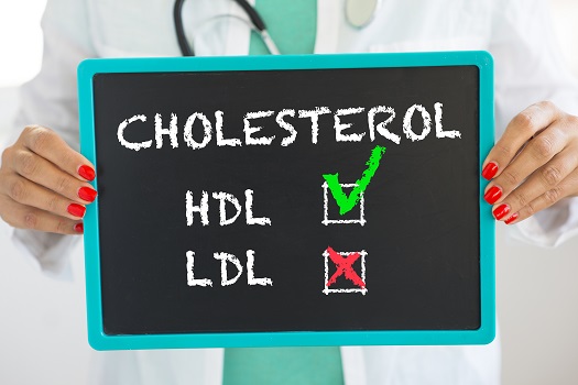 Old Age and Cholesterol in Edmonton, AB