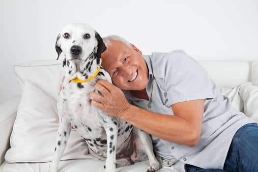 Can an Aging Adult Benefit from Having a Dog or Cat